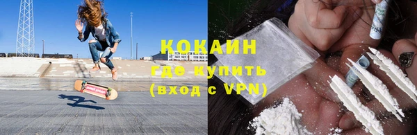 трава Няндома