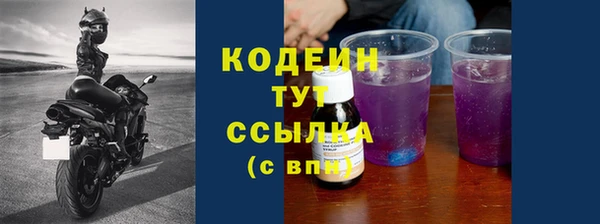 трава Няндома