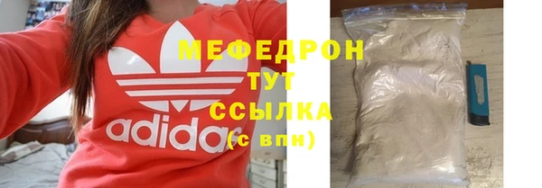 трава Няндома