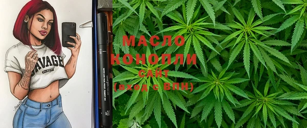 трава Няндома