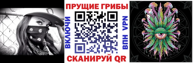 закладка  Ардон  Галлюциногенные грибы GOLDEN TEACHER 